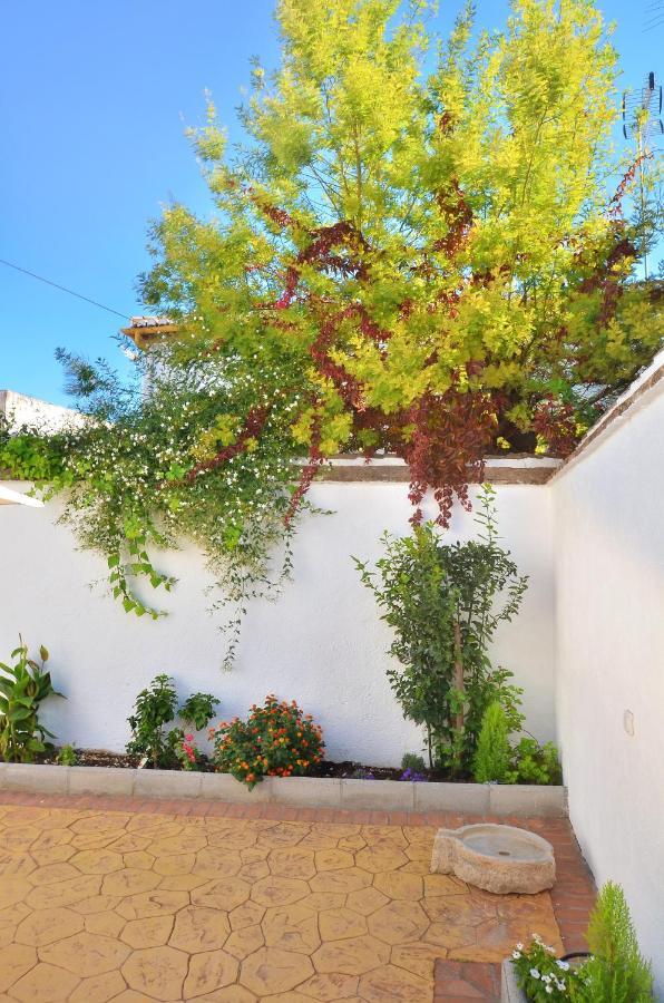 Villa Casa Limon Patio Y Parking à Grenade Extérieur photo
